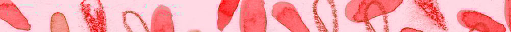 Website Bar