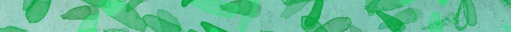 Website Bar