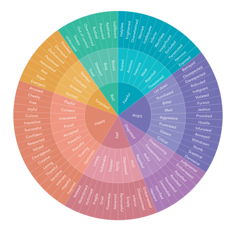 Feelings Wheel